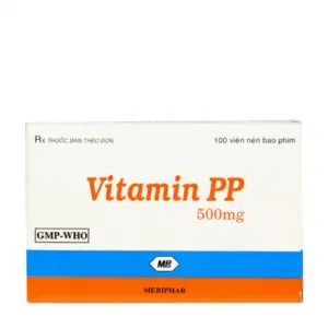 Vitamin PP 500mg - Dược phẩm Huỳnh Gia